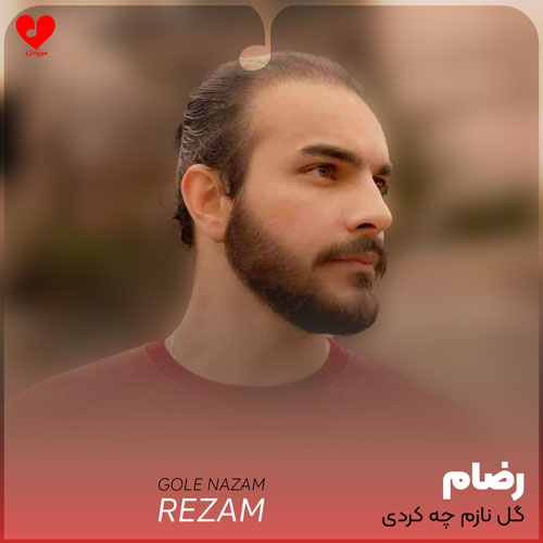 دانلود اهنگ گل نازم چه کاری کردی با من هنوز دوست دارمو رضام